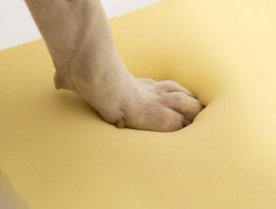 DOG-BED MEMORY FOAM CUT TO SIZE - The Foam Shop [removed]scohi[removed]